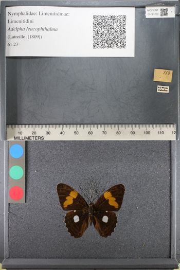 Media type: image;   Entomology 141222